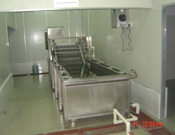 Vegetable Washing Machine