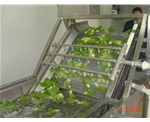 Vegetable Washing Machine